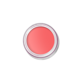 Pot Rouge Velvet Matte Cream Blush & Tint